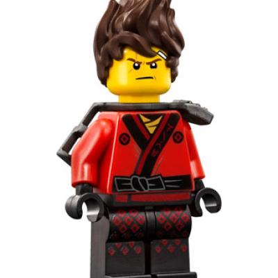 ストーン 70608 Master Falls | Ninjago Wiki | Fandom