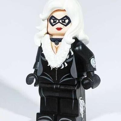 HeroBloks - Black Cat - Lab9