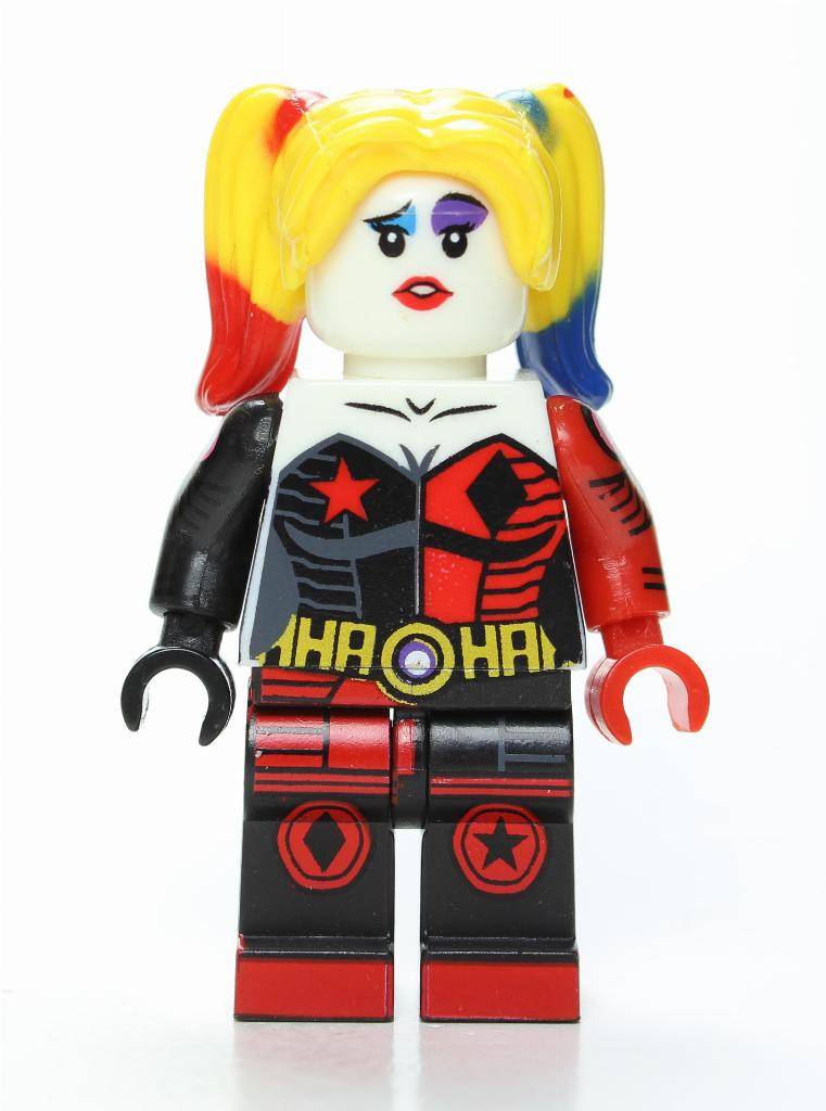 HeroBloks - Harley Quinn (Team Wisdom)